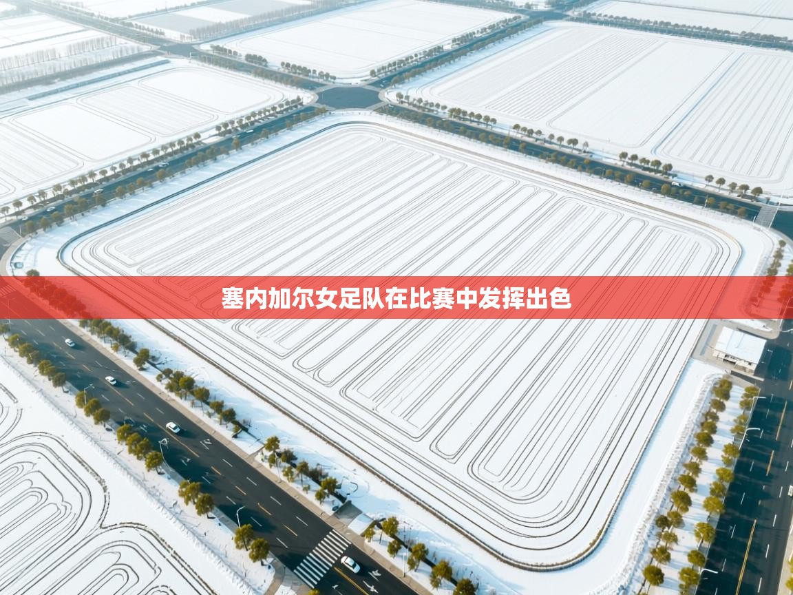 塞内加尔女足队在比赛中发挥出色  第2张