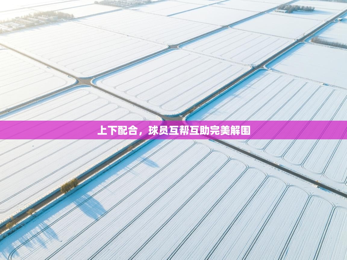 上下配合，球员互帮互助完美解围  第2张