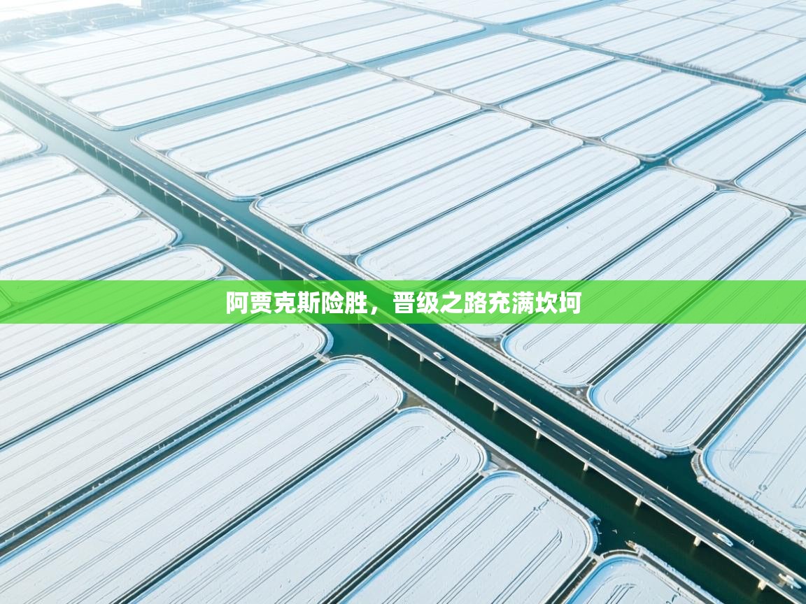 阿贾克斯险胜，晋级之路充满坎坷  第1张